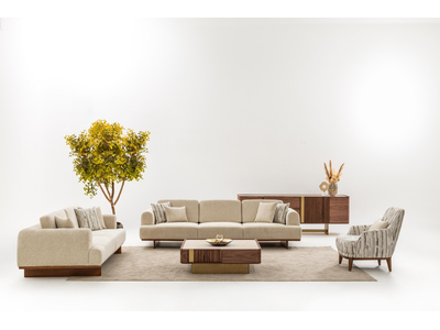 Manas Modern Oturma Grubu – Şık ve Konforlu Salon Koltuk Takımı - sitelerankara.com - Pakel Mobilya
